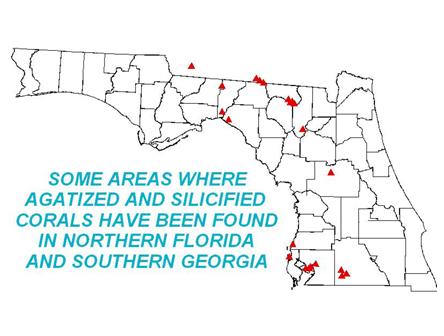 Agatized Coral Locations